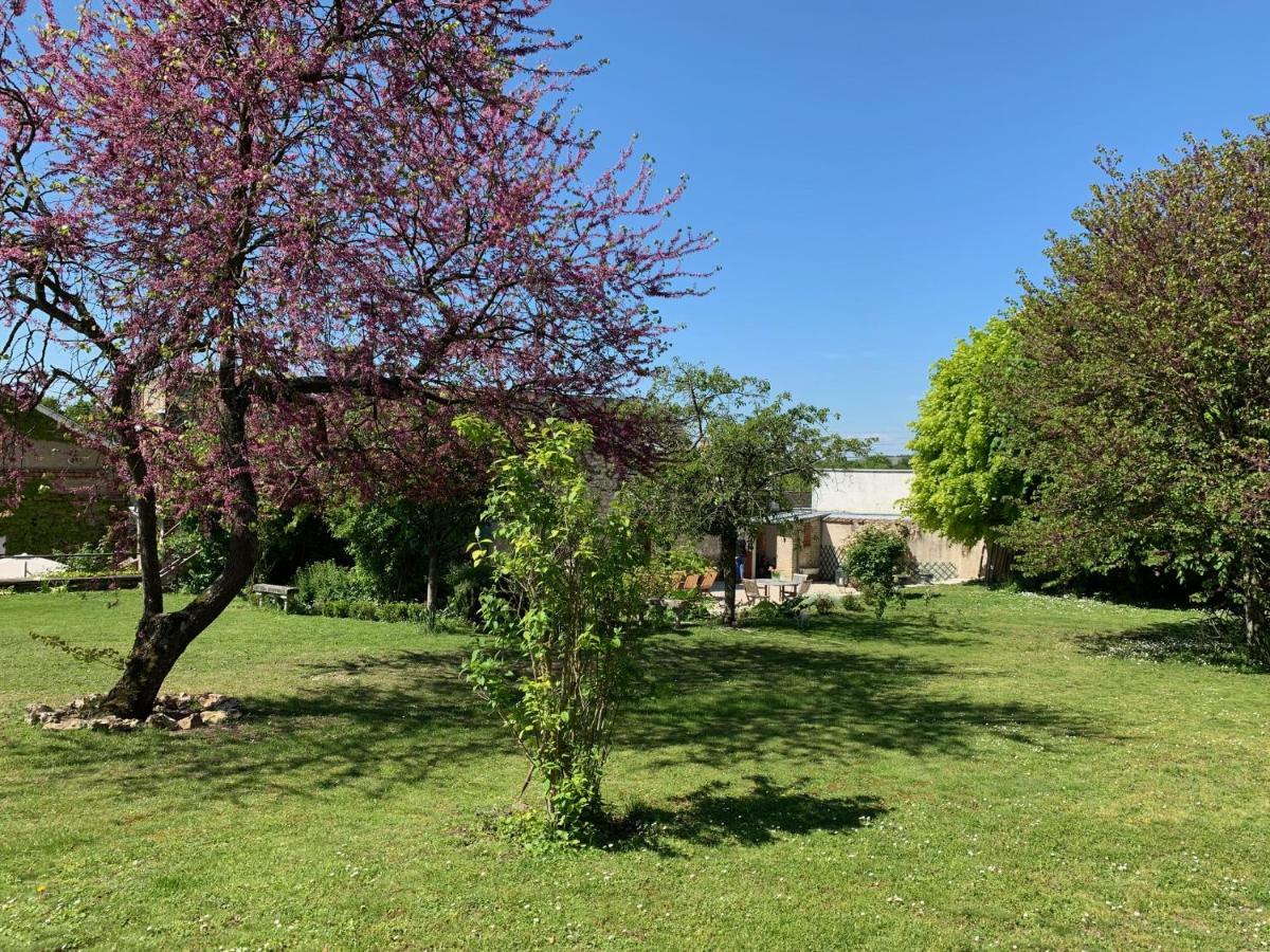 Le Clos Corbier Mareuil-sur-Ay Zewnętrze zdjęcie